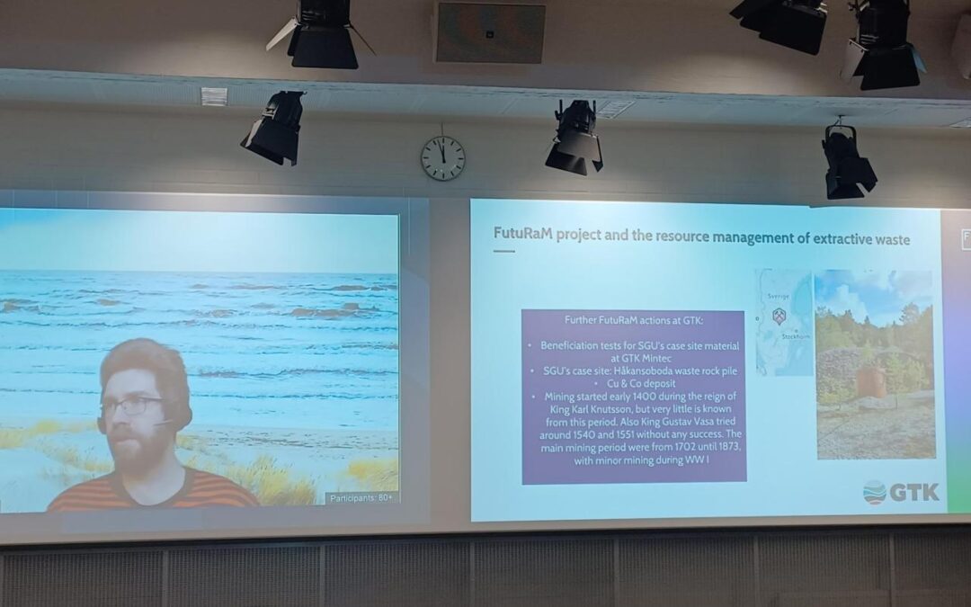 FutuRaM project represented at Circular Minerals Workshop